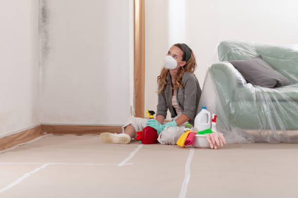 Reliable Mold Cleanup contractor in Spencerville, MD by Cheap Mold Removal